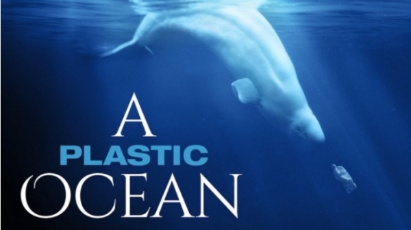 (2016년 크레이그 레슨 감독의 다큐멘터리 'A PLASTIC OCEAN' 포스터, 출처=네이버 영화)